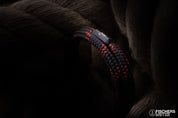 Torpedo Shrimp Siegfried - Coffee Brown Coral